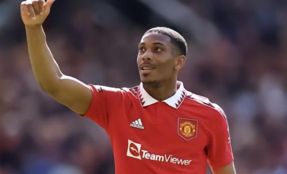 彼此之间的 彼此之间的